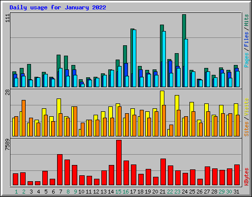 Daily usage for January 2022